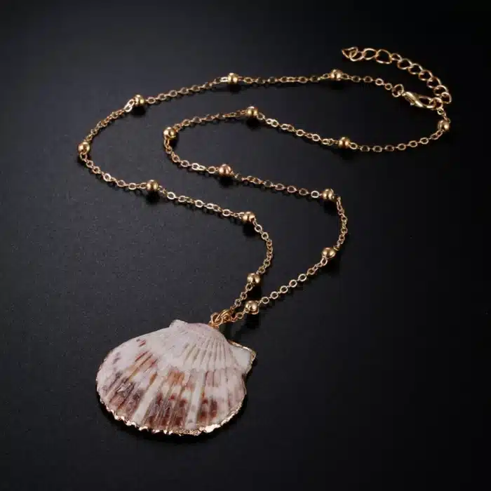 Collier coquillage femme 13