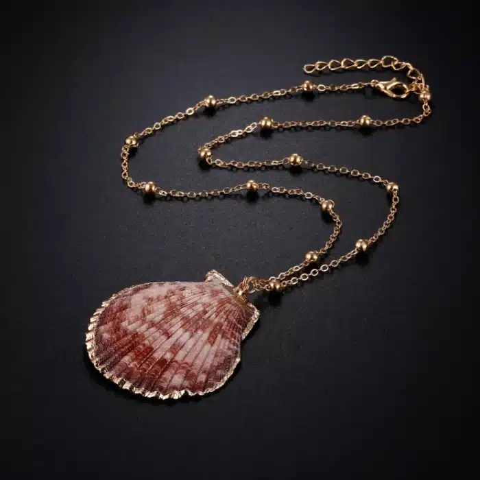 Collier coquillage femme 16