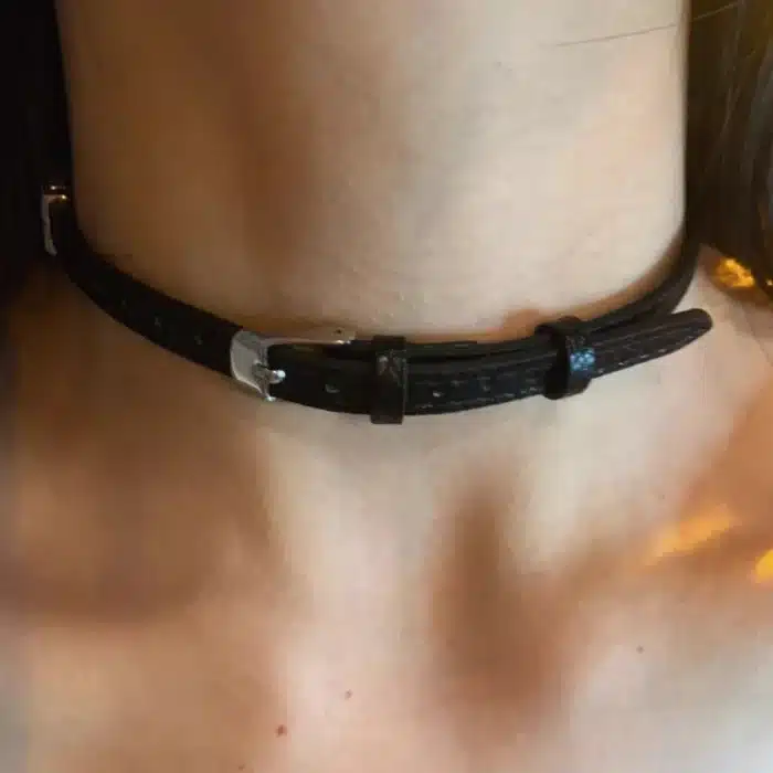 collier d'appartenance discret 2