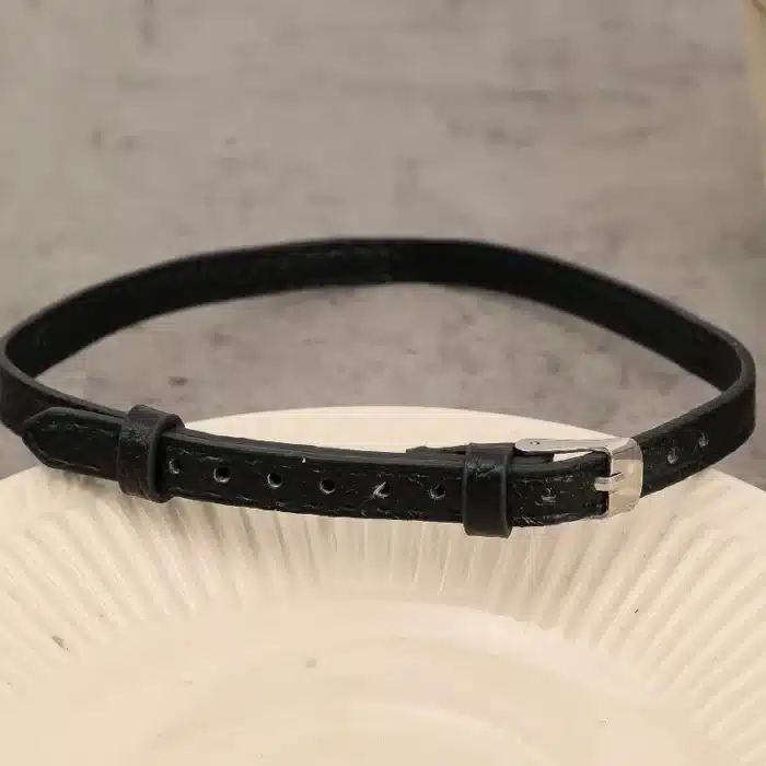 collier d'appartenance discret 5